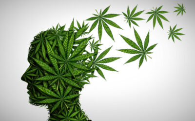 Marijuana effects on the brain and cannabis mood altering chemicals or psychology and drugs concept in a 3D illustration style.